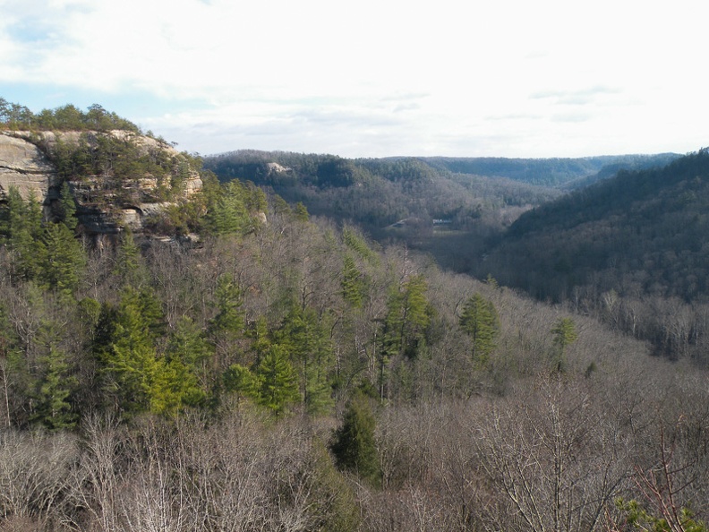 0104_Early January on Sheltowee Trace_ Red River Gorge - 10.jpg